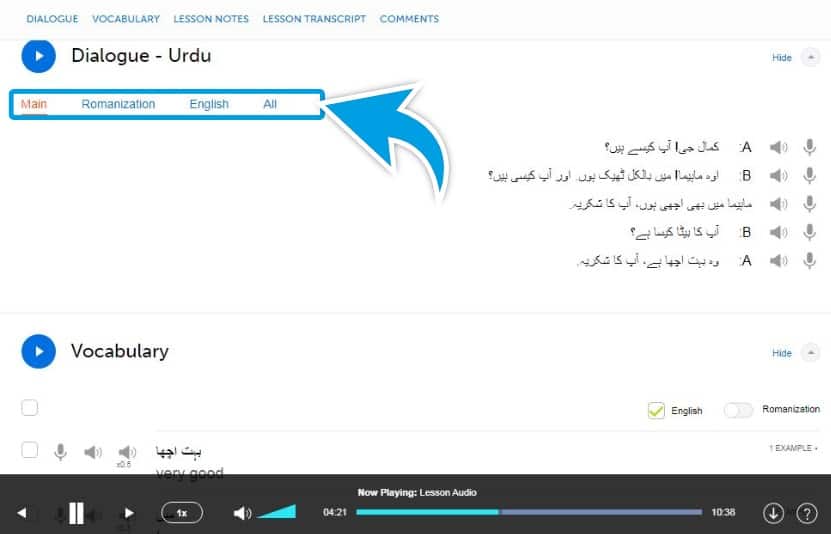 UrduPod101-Review-Example-Lesson-Dialogue-Script